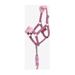 Cabezada y ramal Vogue Hobby Horse LeMieux Malva Violeta