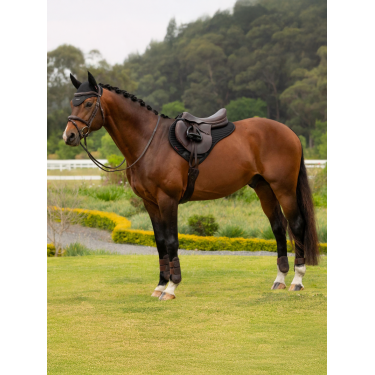 Mantilla Half Square de tejido de malla Air-Tek Negro