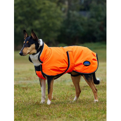 Manta impermeable para perro Weatherbeeta ComFiTec reflectante 300D Deluxe Naranja