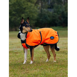 Manta impermeable para perro Weatherbeeta ComFiTec reflectante 300D Deluxe Naranja