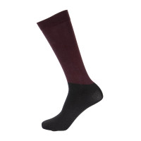 Calcetines Eltar para niño Shires Aubrion Negro cereza