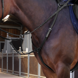new