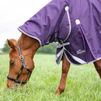Manta exterior integral Original 100 Shires Highlander Ciruela Violeta