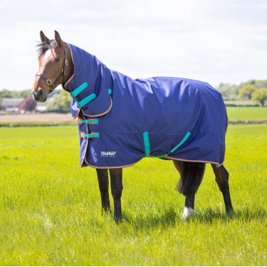 new