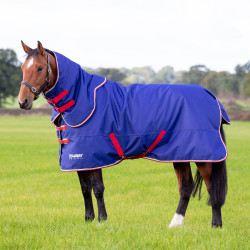 new