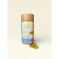 Complemento de Movilidad para Perros Happy Crackers