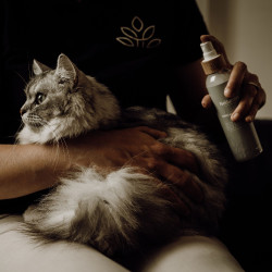 Acondicionador abrillantador Nellumbo para perros y gatos