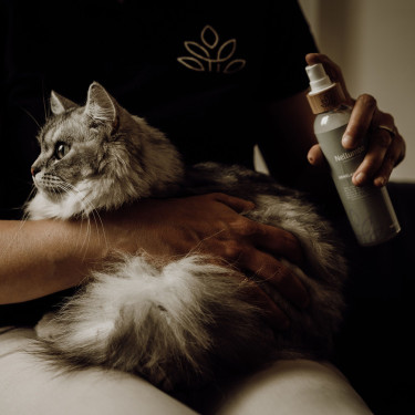 Acondicionador abrillantador Nellumbo para perros y gatos