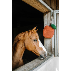 Juguete para caballos Hippotonic Manzana Roja Rojo Juguete para caballos Hippotonic Manzana Roja Rojo