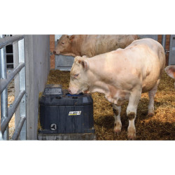 Bebedero Polytherme La Gée 1 bola