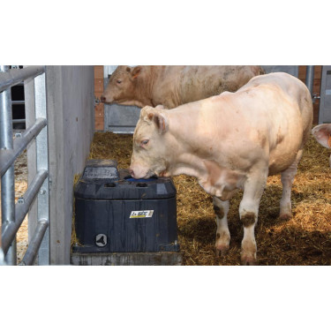 Bebedero Polytherme La Gée 1 bola
