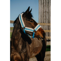Cabezada Norton Comfy Azul