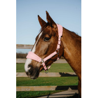 Cabezada Equithème Breeze Rosa