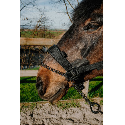 Cabezada Equithème Control Negro Cabezada Equithème Control Negro