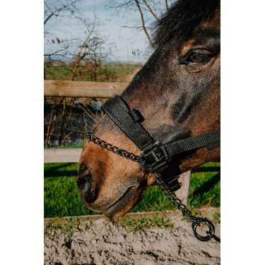 Cabezada Equithème Control Negro Cabezada Equithème Control Negro
