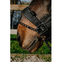 Cabezada Equithème Control Negro