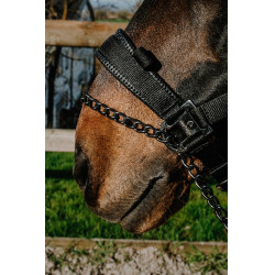 Cabezada Equithème Control Negro Cabezada Equithème Control Negro
