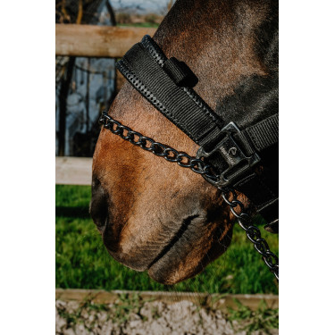 Cabezada Equithème Control Negro Cabezada Equithème Control Negro
