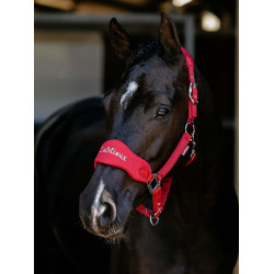 Cabezada Vogue LeMieux desmontable Chile Rojo Cabezada Vogue LeMieux desmontable Chile Rojo