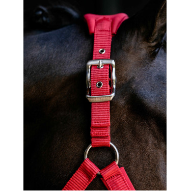 Cabezada Vogue LeMieux desmontable Chile Rojo Cabezada Vogue LeMieux desmontable Chile Rojo