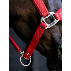 Cabezada Vogue LeMieux desmontable Chile Rojo Cabezada Vogue LeMieux desmontable Chile Rojo