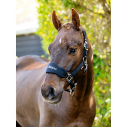 Cabezada Vogue LeMieux desmontable Negro