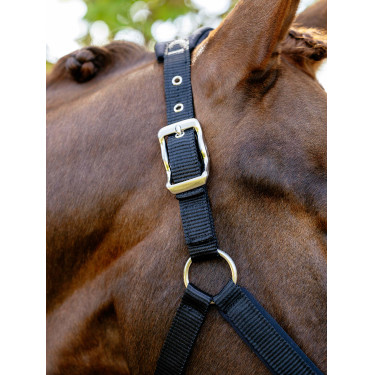 Cabezada Vogue LeMieux desmontable Negro