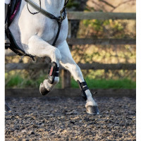 Protectores de tendones LeMieux Junior Pro Negro