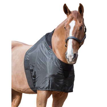 Protector de espalda para caballo LeMieux