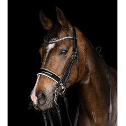 Brida Waldhausen X-Line Evermore Negro Brida Waldhausen X-Line Evermore Negro