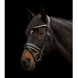 Brida Ivory X-Line Waldhausen Negro Brida Ivory X-Line Waldhausen Negro