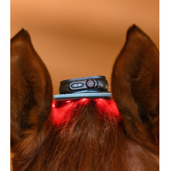 Collar Infrared FlexPad Waldhausen Health + Care Negro