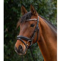 Frontal con purpurina Star Plata