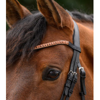 Frontal con purpurina Star Plata