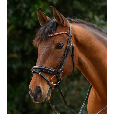 Frontal con purpurina Star Oro rosado Negro