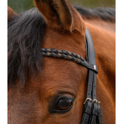 Frontal Waldhausen X-Line trenzado Negro