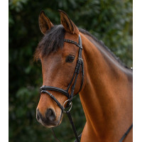 Frontal Waldhausen X-Line trenzado Negro