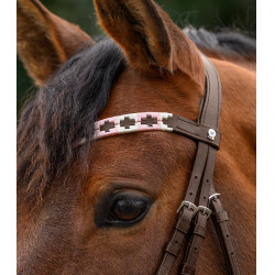 Frontal Waldhausen X-Line Polo marrón Rosa / beige