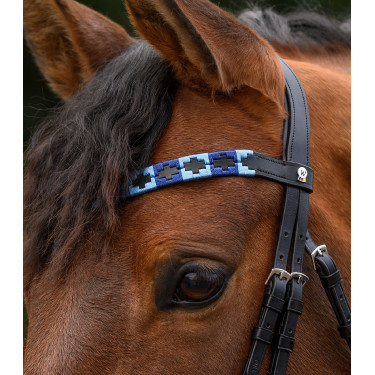 Frontal Waldhausen X-Line Polo negro Azul / azul claro