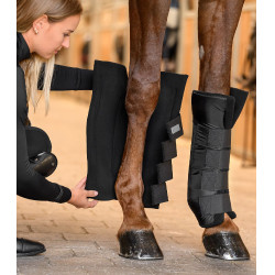 Protectores de cuadra y transporte Waldhausen, soporte para las articulaciones anteriores Negro Protectores de cuadra y transporte Waldhausen, soporte para las articulaciones anteriores Negro
