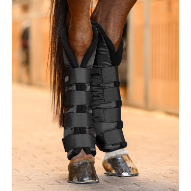 Protectores de cuadra y de transporte Waldhausen soporte para las articulaciones posteriores Negro Protectores de cuadra y de transporte Waldhausen soporte para las articulaciones posteriores Negro