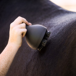 Massagegerät für Pferde Imperial Riding Volta Grooming & Relaxation Negro