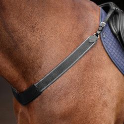 Pechopetral elástico Shires Velociti Rapida Negro