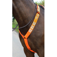 Collar de pecho Shires Equi-Flector® Naranja vivo