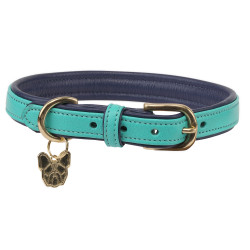 Collar para perro de cuero acolchado Shires Digby & Fox Aqua Azul