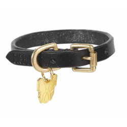 Collar para perro de cuero plano Shires Digby & Fox Negro