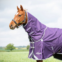 Cuello exterior Original 100 Shires Highlander Ciruela Violeta