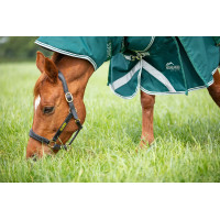 Cubrecuello de exterior Original 300 Shires Highlander Verde