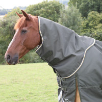 Cubrecuello de exterior Plus 50 Shires Highlander Verde