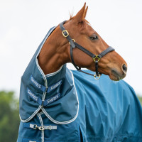 Cubrecuello Original 50 Shires Highlander Oceano Azul
